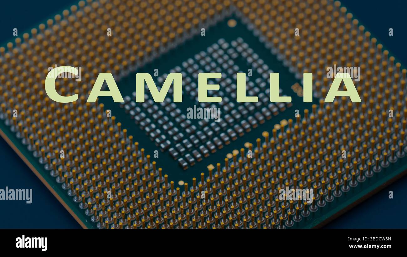 Camellia. Cifratura a blocchi simmetrica con proprietà di sicurezza simili a AES, utilizzata nelle applicazioni software e hardware. Foto Stock