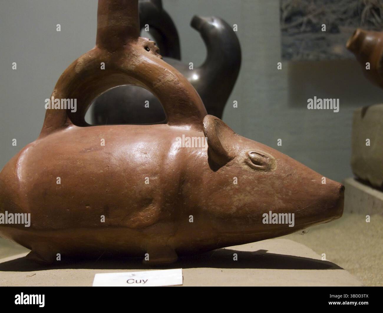 Figura di maiale della Guinea, creata durante il periodo della ceramica peruviana, Museo Nazionale di Antropologia, Archeologia e storia del Perù, Lima, Lima Provin Foto Stock