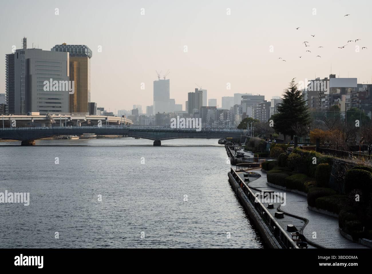 Asakusa, Tokyo, Giappone 03-23-2025: Foto Stock