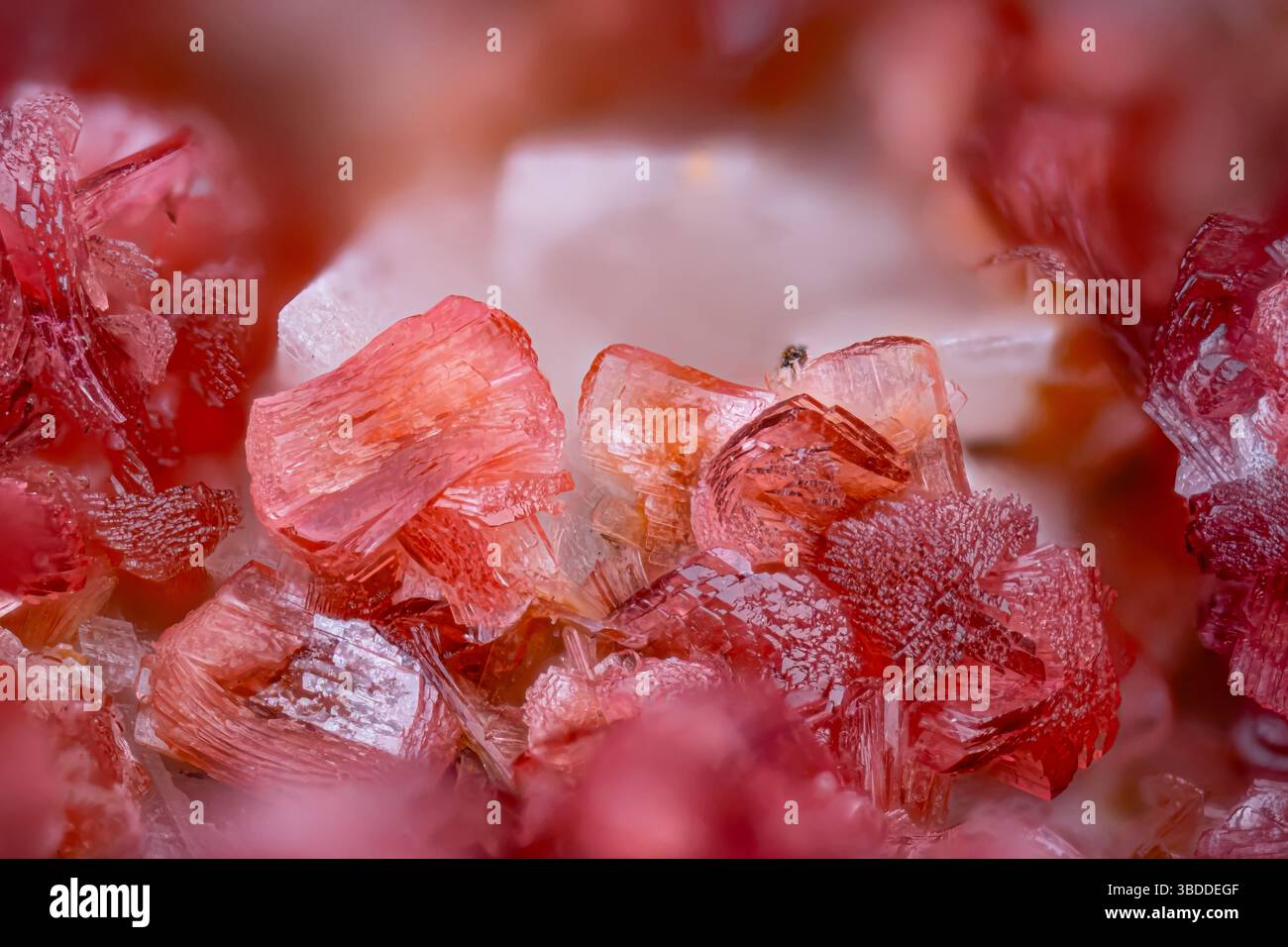 Talmessite ricco di cobalto sulla dolomite. Esemplare della miniera di Aghbar, Aghbar, Marocco. Micro Photography primi piani estremi. foto al microscopio in cristallo minerale Foto Stock