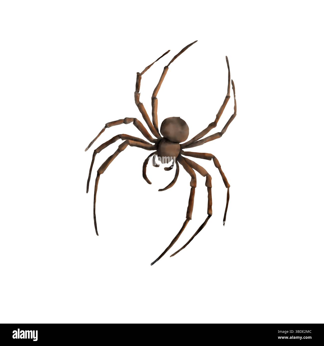Un ragno mutante nero con gambe sottili e mandibole. Illustrazione acquerello. L'insetto è aracnide, isolato su sfondo bianco. Per Halloween e.. Foto Stock