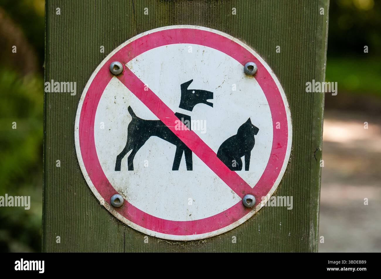Niente cani, niente gatti, segnale, Redwoods Otways, Australia Foto Stock