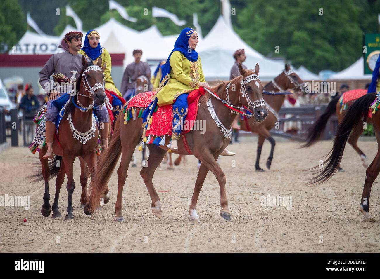 Windsor, Berkshire, Regno Unito. 15 maggio 2025. La mostra della Royal Cavalry of Oman al Royal Windsor Horse Show nei terreni privati del Castello di Windsor nel Berkshire. The Oman - A Passion for Tradition Performance porta gli spettatori in un viaggio attraverso i suggestivi paesaggi dell'Oman, tutti portati in vita da oltre 30 cavalli arabi, due carrozze tradizionali che distribuiscono incenso e una banda di marcia. Crediti: Maureen McLean/Alamy Foto Stock