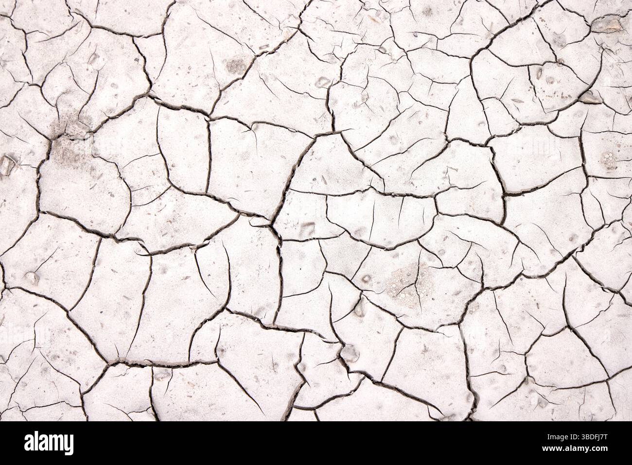 Un paesaggio asciutto mostra la terra incrinata, rivelando l'impatto di precipitazioni insufficienti e siccità prolungata. La luce del sole enfatizza l'intricato schema Foto Stock