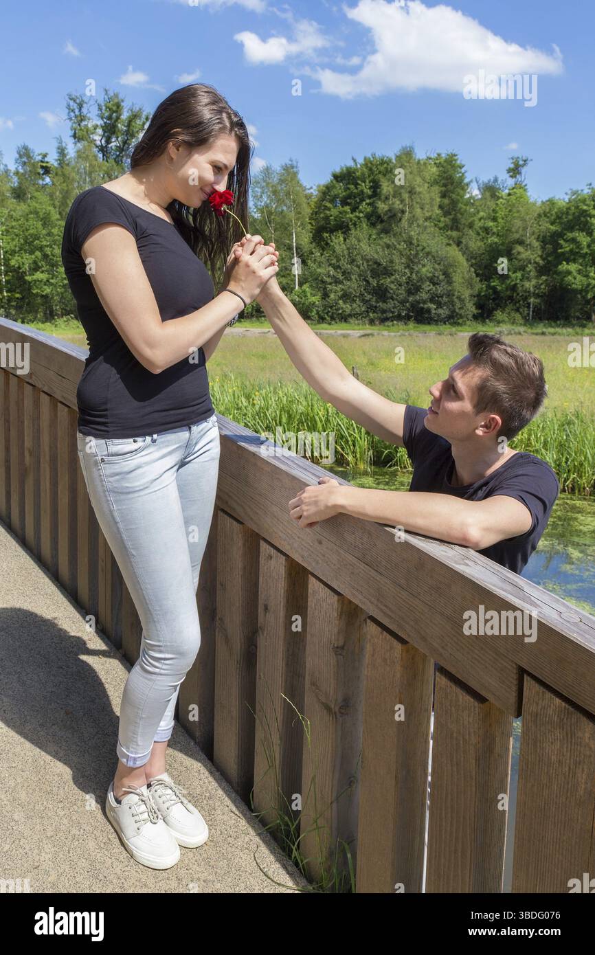 Giovane ragazzo offre una rosa rossa per donna attraente sul ponte in natura Foto Stock