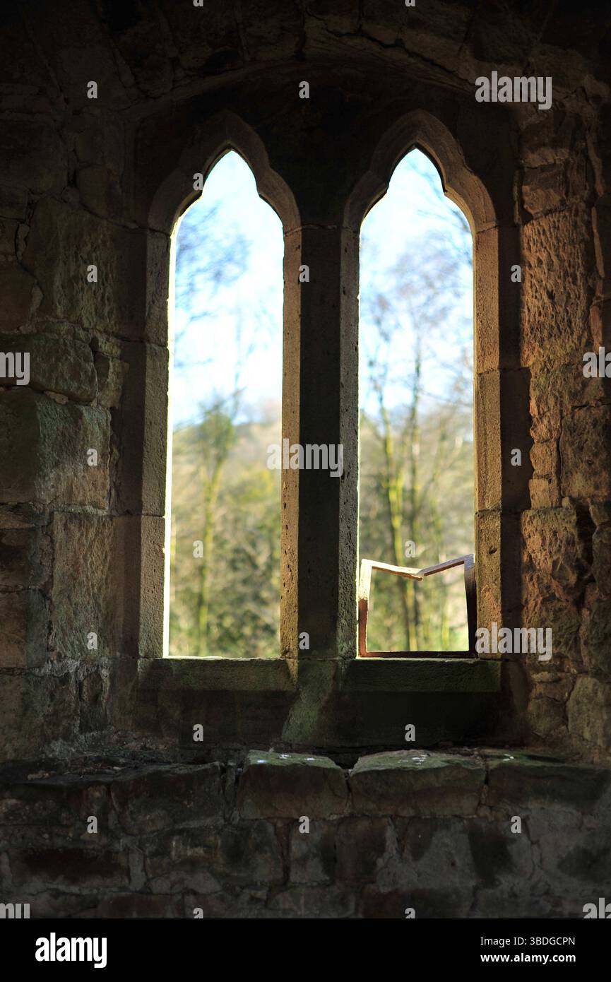 Finestre della chiesa abbandonate che guardano fuori agli alberi e alla natura. Non rimane vetro in nessuna finestra, ma l'edificio è forte, con nidi di uccelli all'interno. Foto Stock