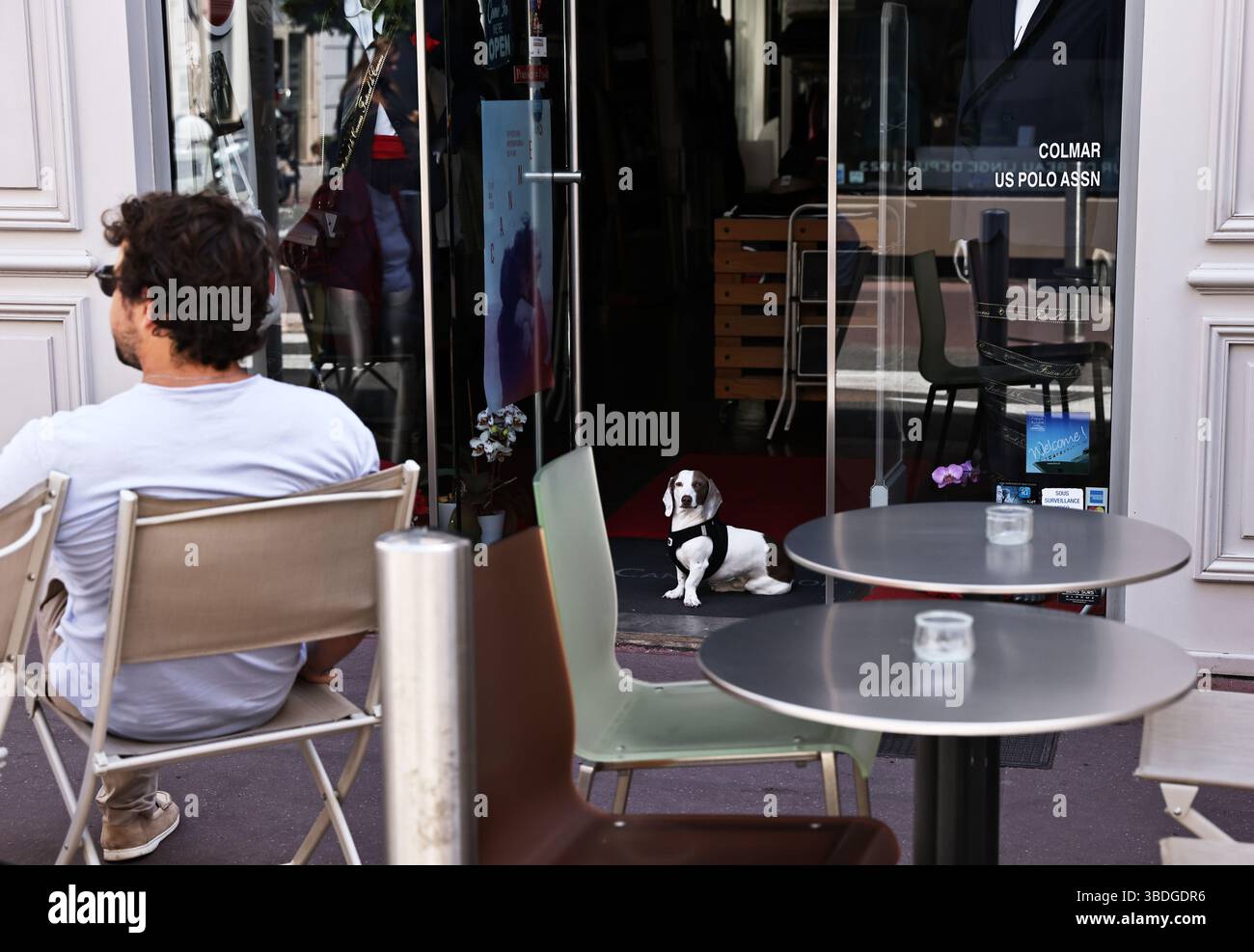 Cannes, Francia. 24 maggio 2025. Un membro dello staff attende all'esterno dopo un'interruzione di corrente a Cannes, nel sud della Francia, il 24 maggio 2025. La prefettura del dipartimento francese meridionale delle Alpi marittime di sabato ha confermato che un'interruzione di corrente sta colpendo la parte occidentale del dipartimento, tra cui Cannes e i suoi dintorni. Gli organizzatori del 78° Festival di Cannes hanno dichiarato che, grazie a un'alimentazione elettrica indipendente, tutti gli eventi e le proiezioni in programma, compresa la cerimonia di chiusura, procederanno come previsto e in condizioni normali. Crediti: Gao Jing/Xinhua/Alamy Live News Foto Stock