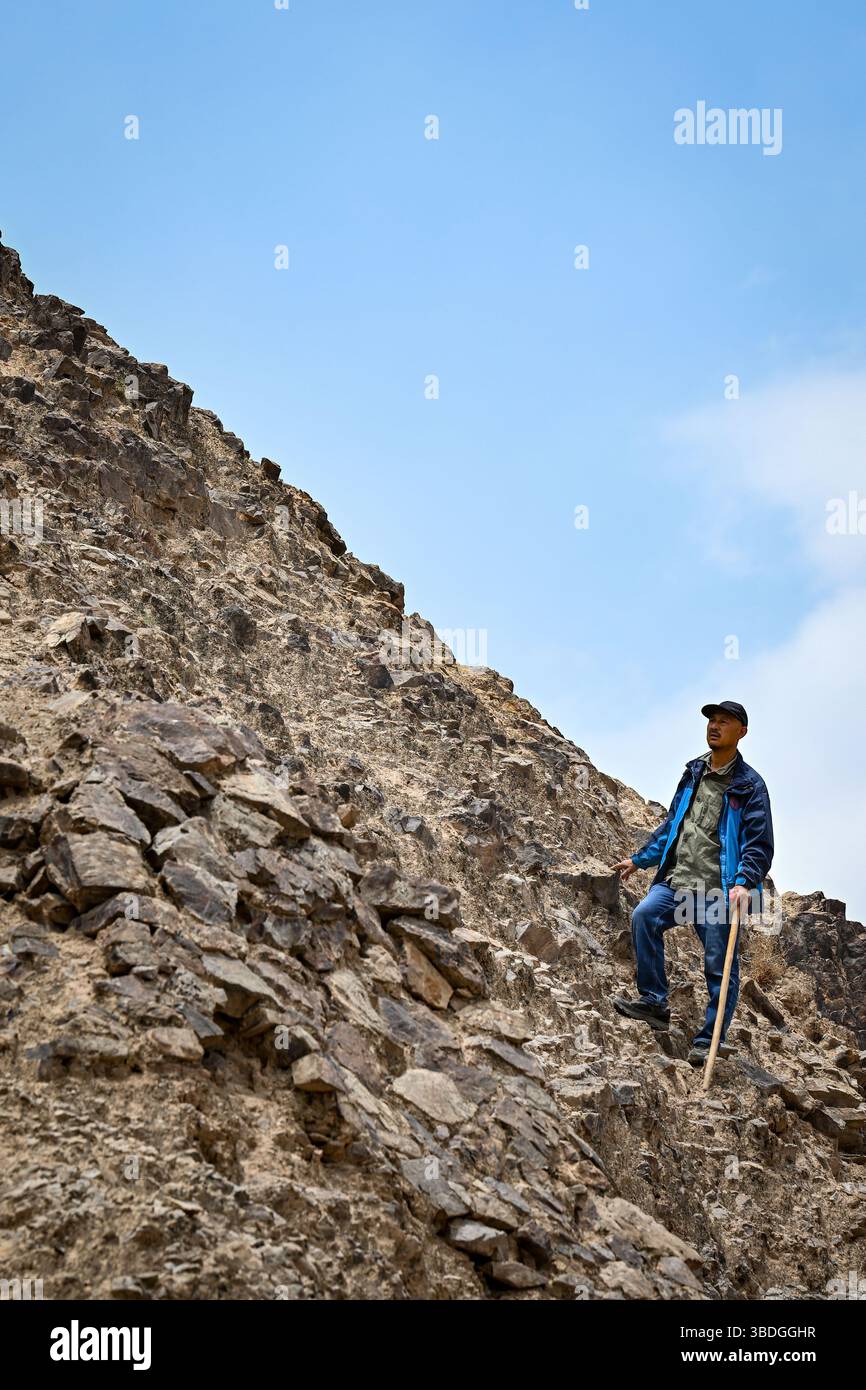 (250524) -- YINCHUAN, 24 maggio 2025 (Xinhua) -- li Shixiang cerca i resti della grande Muraglia nella zona della gola di Heishan nella città di Zhongwei, regione autonoma di Ningxia Hui, nella Cina nord-occidentale, 13 maggio 2025. Il 49enne li Shixiang vive nella contea di Haiyuan nella regione autonoma di Ningxia Hui, nella Cina nordoccidentale, conosciuta come "Museo della grande Muraglia". Ningxia ha un totale di oltre 1.500 km della grande Muraglia costruita durante dinastie multiple, con la sezione più antica che risale a 2.000 anni fa. Nato vicino alle rovine di un'antica città, li trascorse molto tempo lì, giocando con monete di bronzo e b Foto Stock