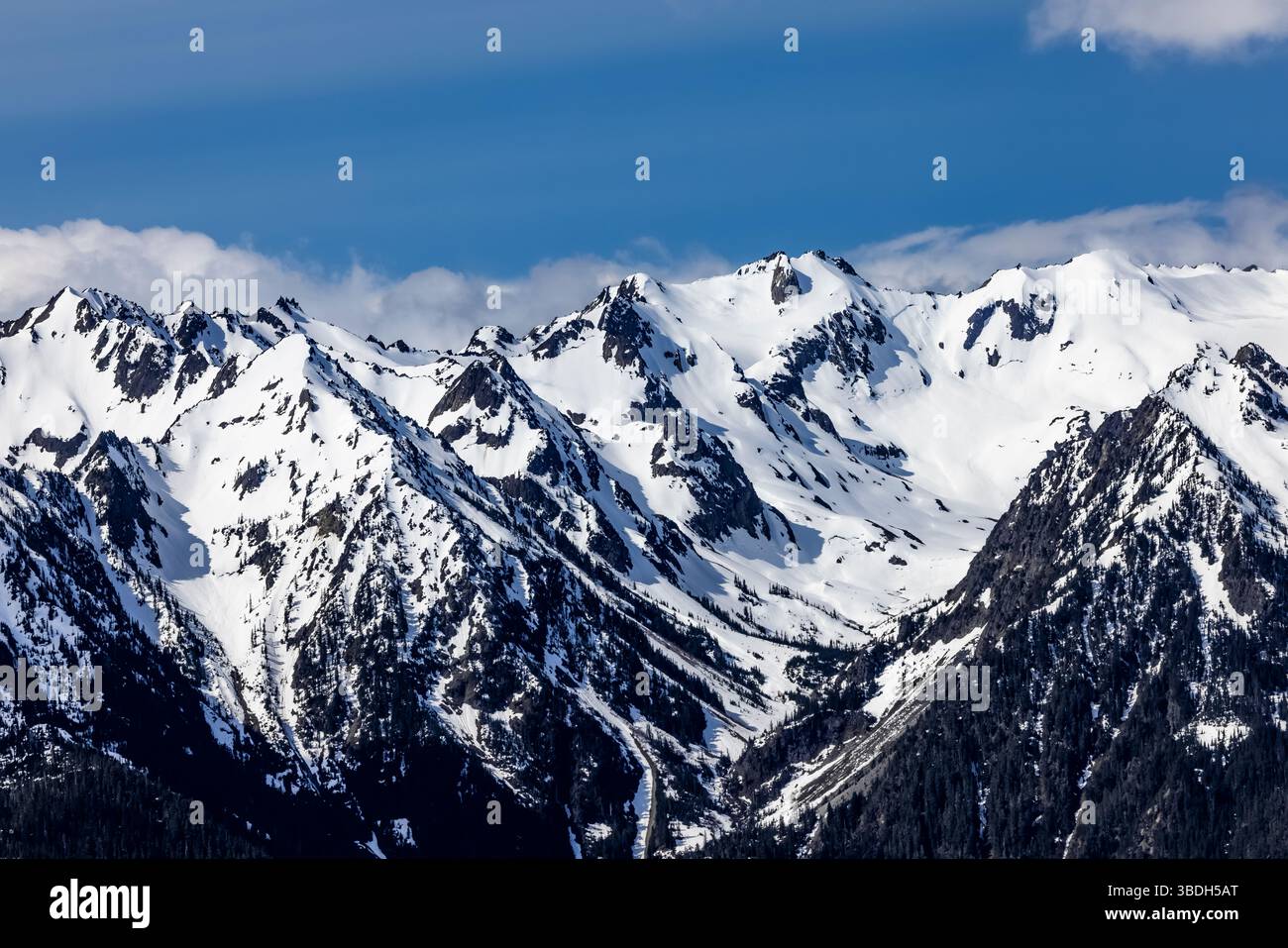 Aspre montagne olimpiche viste da Hurricane Ridge, Olympic National Park, Washington State, Stati Uniti Foto Stock