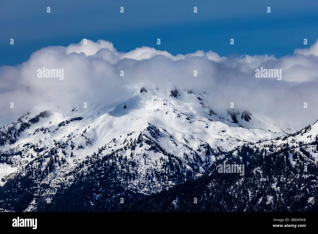 Aspre montagne olimpiche viste da Hurricane Ridge, Olympic National Park, Washington State, Stati Uniti Foto Stock