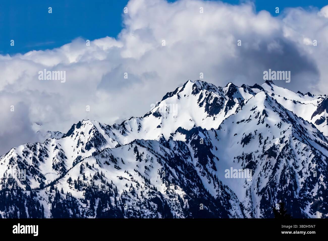 Aspre montagne olimpiche viste da Hurricane Ridge, Olympic National Park, Washington State, Stati Uniti Foto Stock