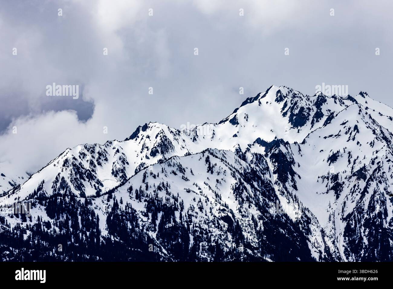 Aspre montagne olimpiche viste da Hurricane Ridge, Olympic National Park, Washington State, Stati Uniti Foto Stock