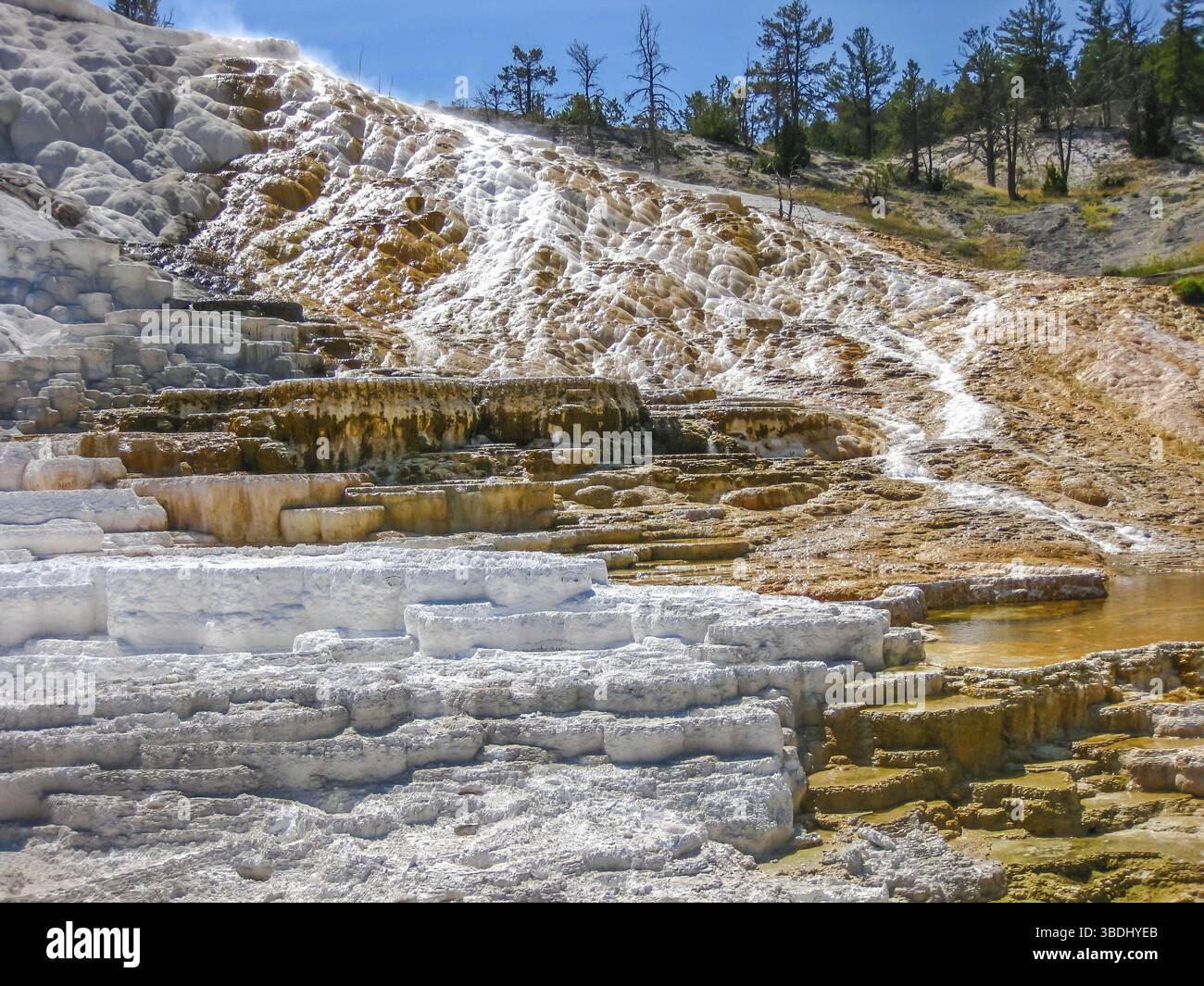 Vista di colorate terrazze di travertino formazioni rocciose fatte di cristallizzato di carbonato di calcio in Mammoth Hot Springs, il Parco Nazionale di Yellowstone in Wyomi Foto Stock