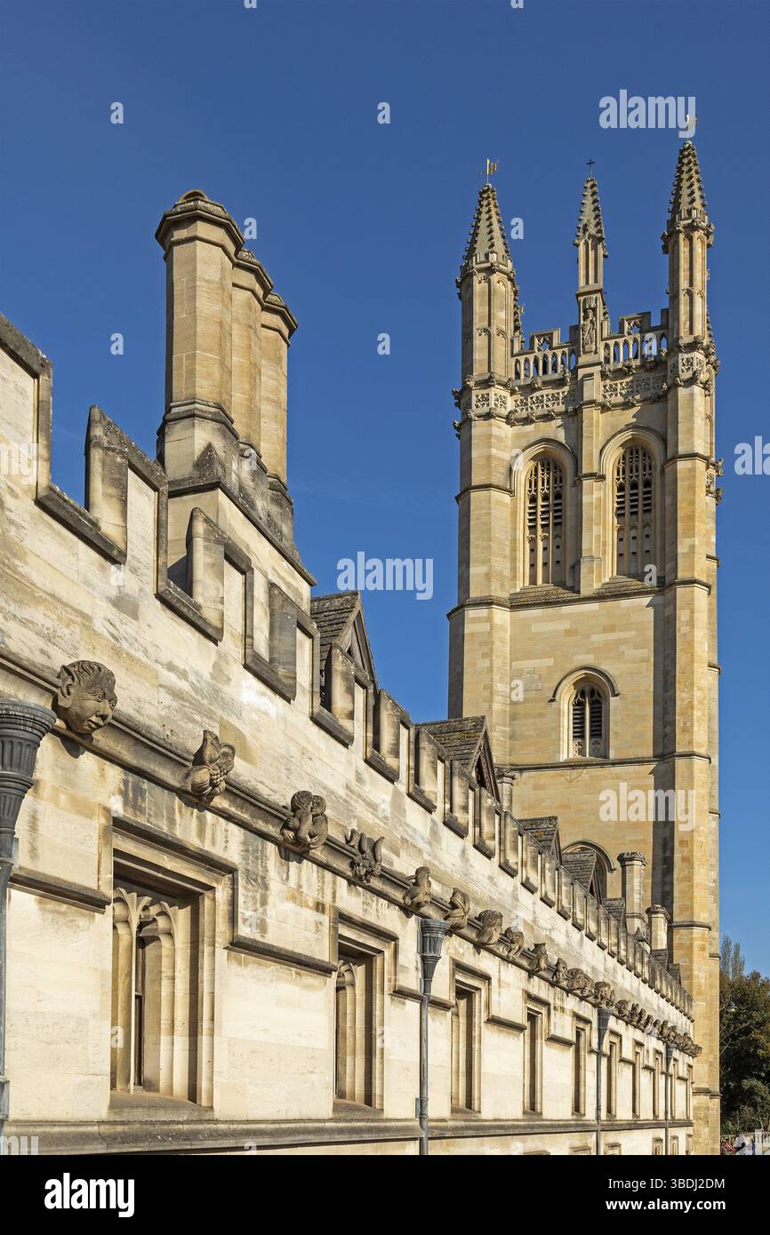 Building, Tower, Magdalen College, Oxford, Inghilterra, gran Bretagna Foto Stock