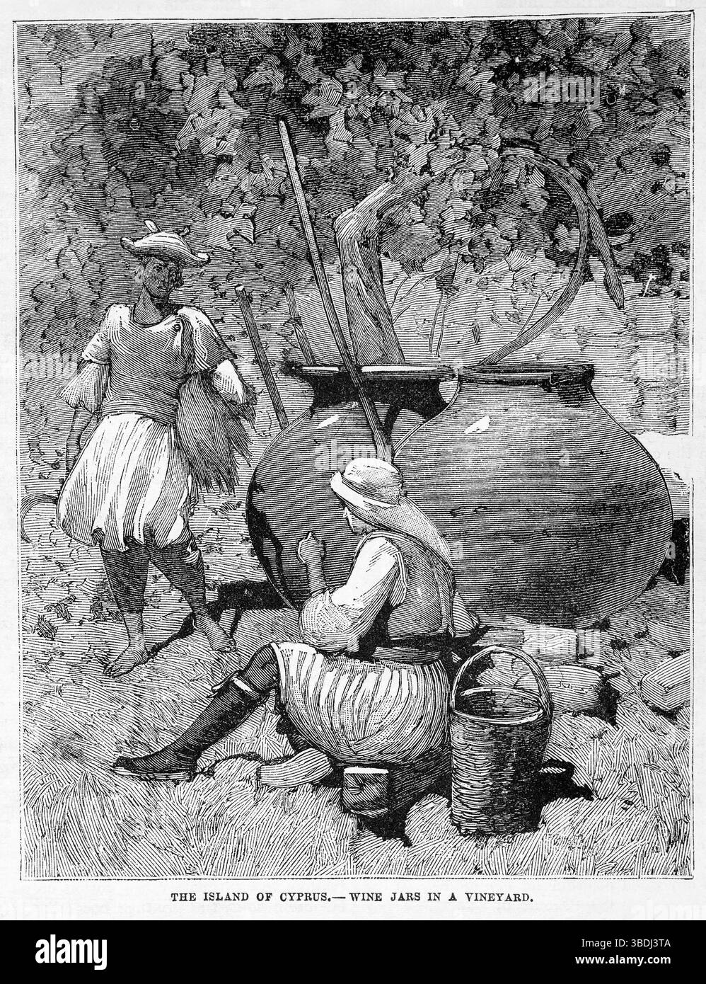 L'isola di Cipro - barattoli di vino in un vigneto (1878). Illustrazione del XIX secolo dal Popular Monthly di Frank Leslie Foto Stock