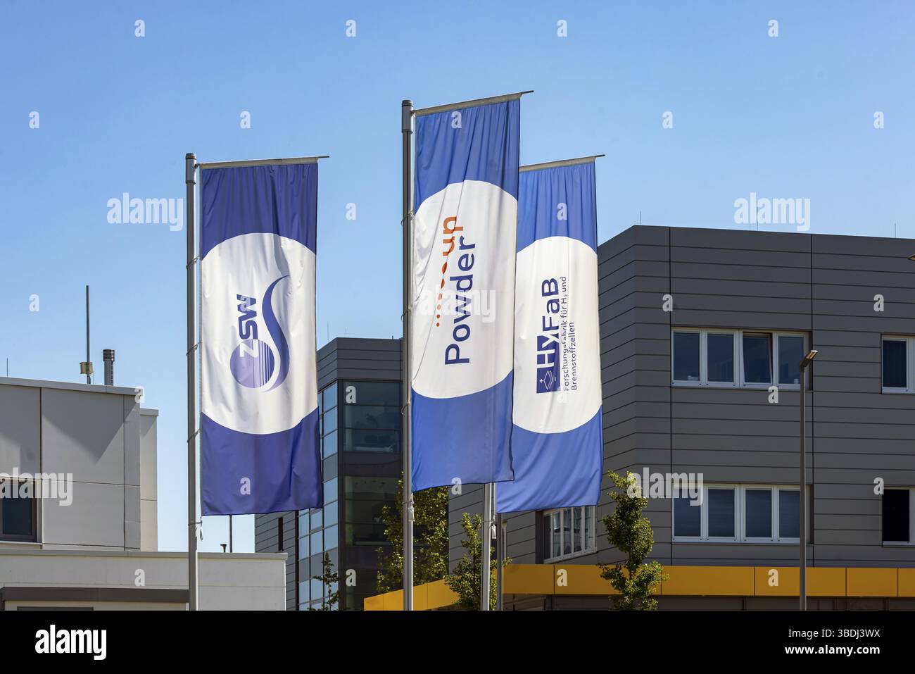 Centro di ricerca sull'energia solare e sull'idrogeno Baden-Wuerttemberg (ZSW) . Logo sull'edificio dell'azienda nel Science Park II a Ulm, Baden-Wuerttemberg, G. Foto Stock