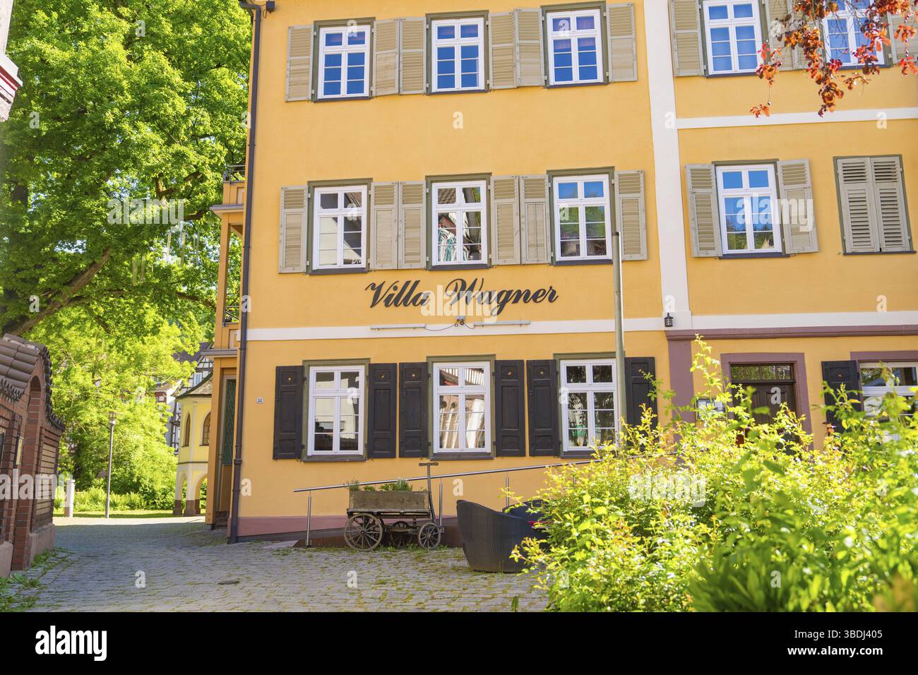 Edificio giallo con il nome di Villa e vegetazione circostante, Calw, Foresta Nera, Germania, Europa Foto Stock