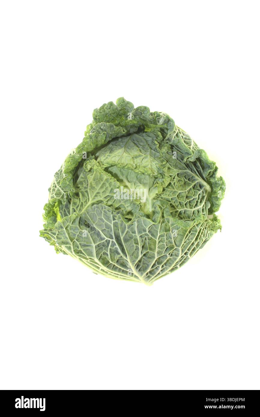 Fresco cavolo verde savoy su sfondo di colore chiaro Foto Stock