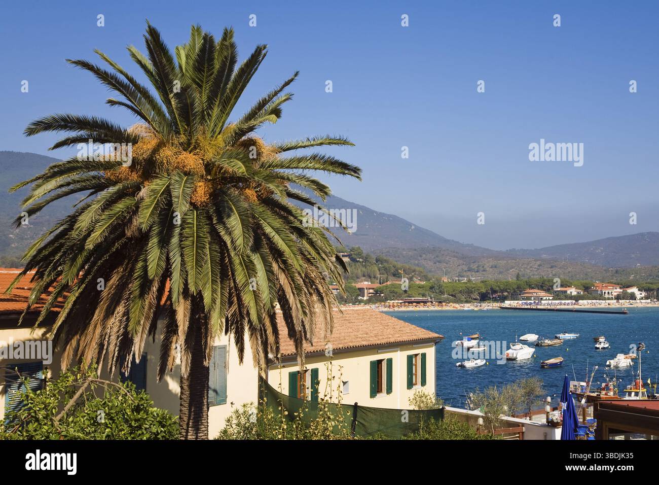 Baia di Marina di campo, Elba, Toscana, Italia, Europa Foto Stock