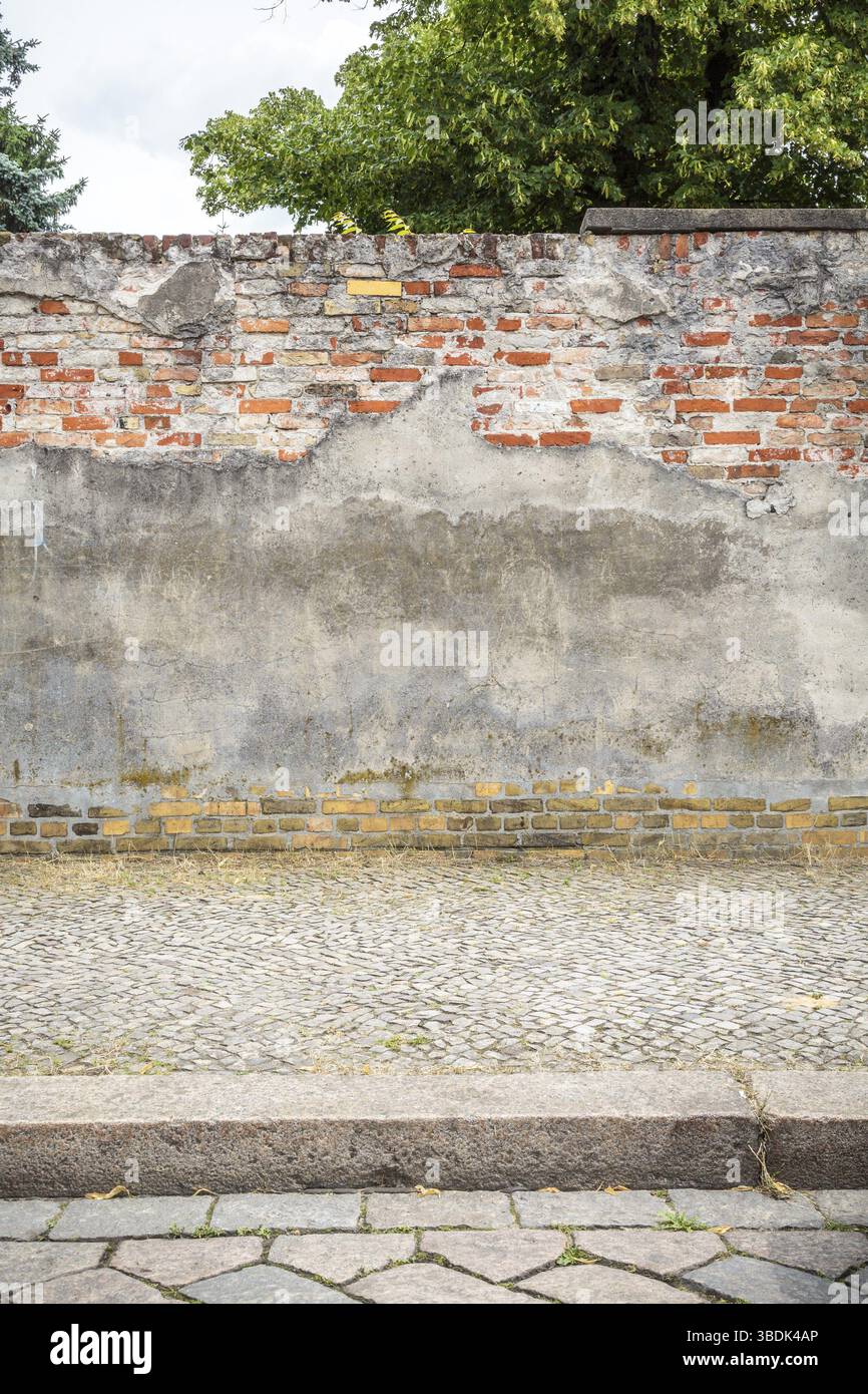Vecchio muro in mattoni rossi intonacati con marciapiede, strada acciottolata e albero Foto Stock