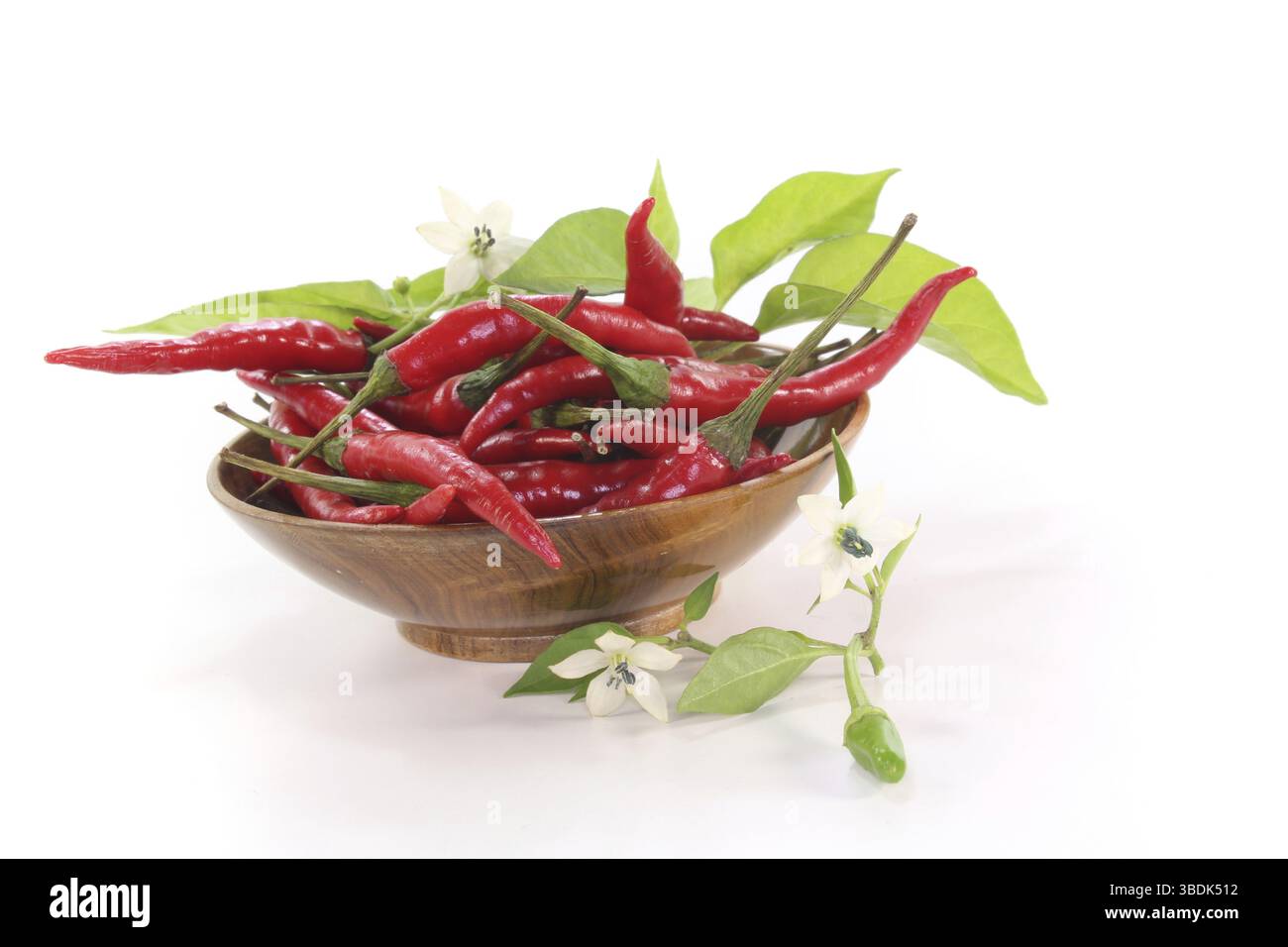 Peperoncino rosso fresco con foglie e fiori in una ciotola di legno su sfondo bianco Foto Stock