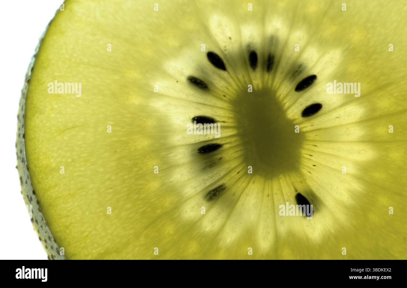 vista ravvicinata di una fetta di kiwi giallo dorato isolata e retroilluminata su uno sfondo bianco luminoso con spazio per le copie Foto Stock