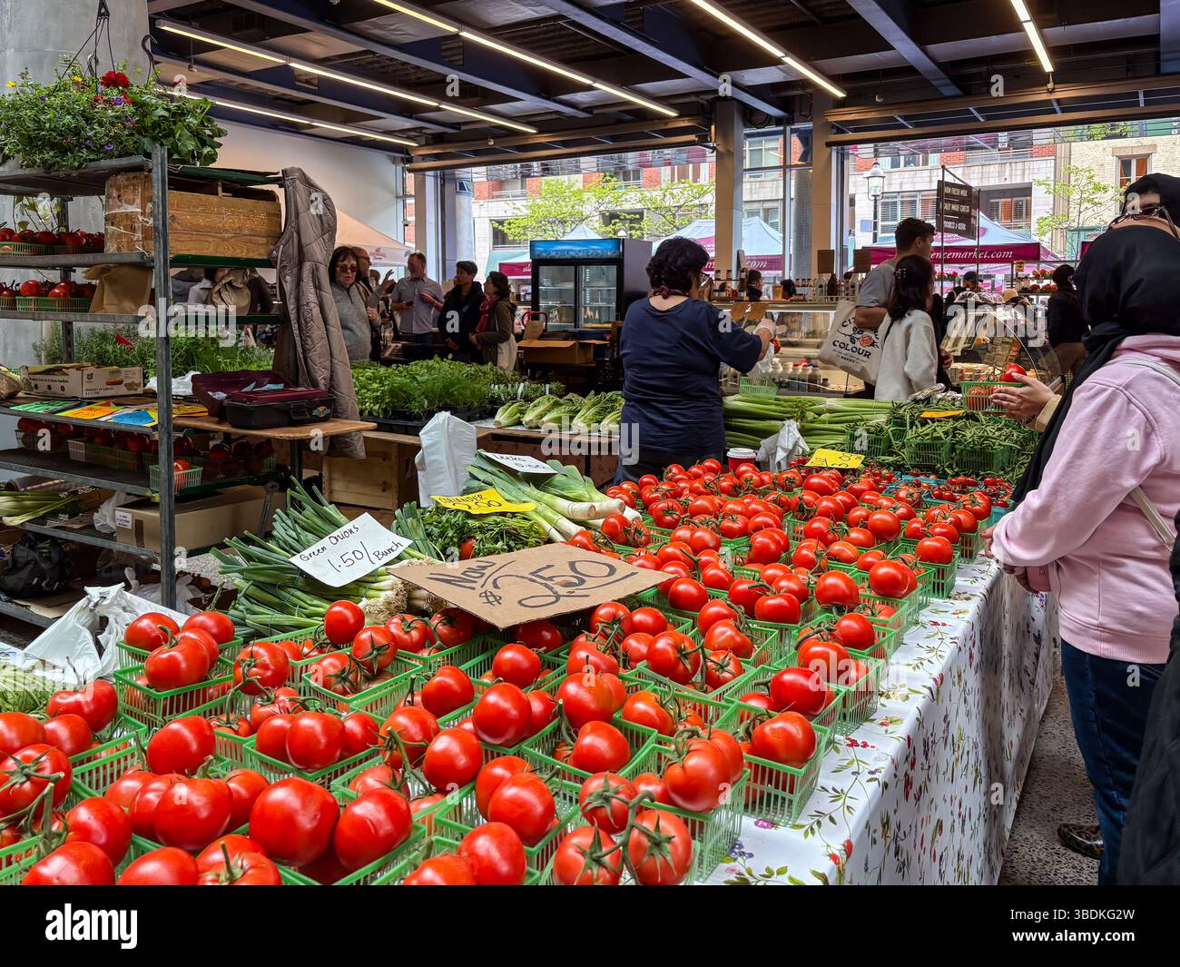 St. Lawrence Market North, mercato al coperto con una bancarella con pomodori freschi e altri prodotti e amanti dello shopping che cercano. Foto Stock