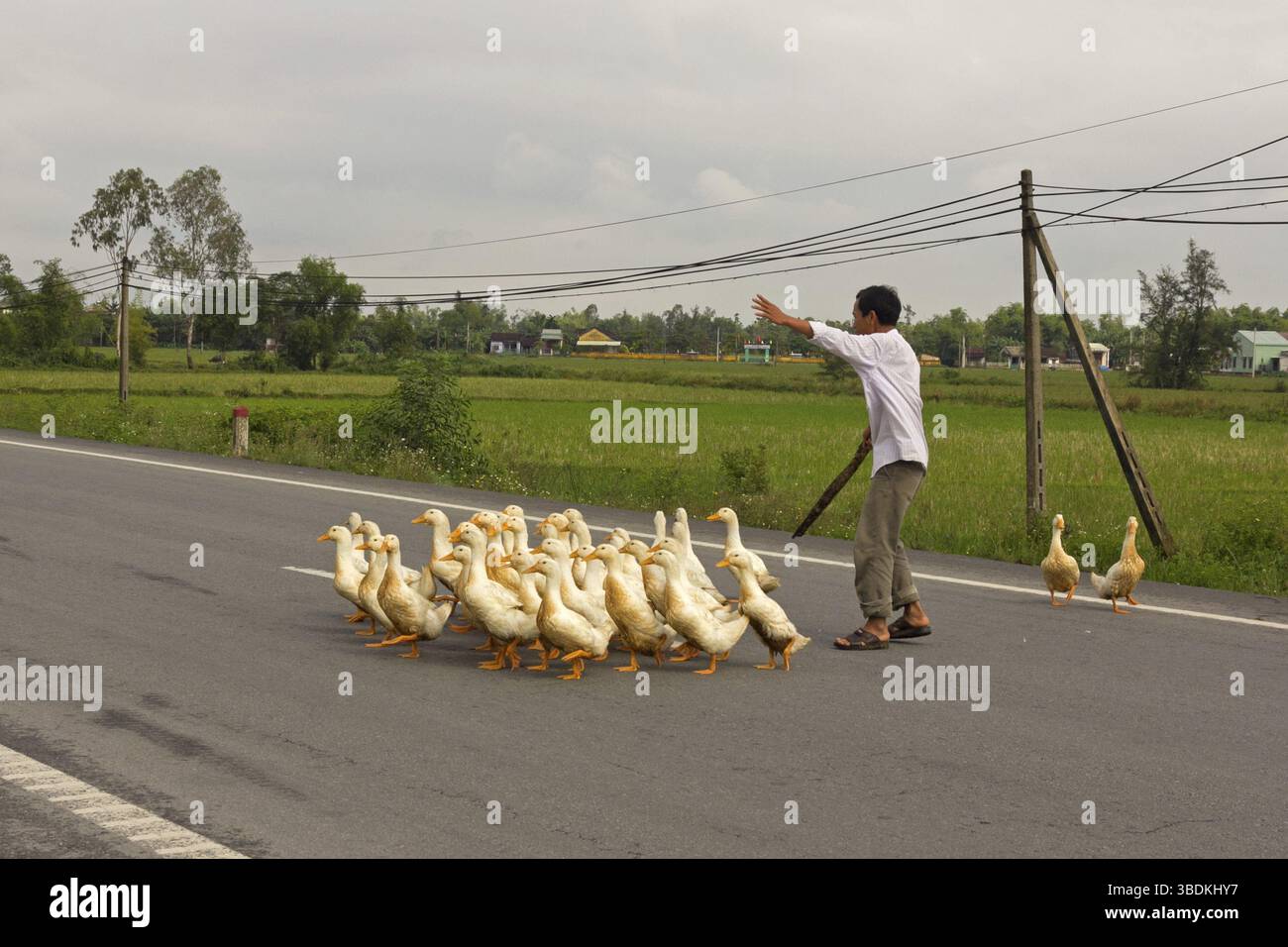 Scena di strada in Vietnam Foto Stock