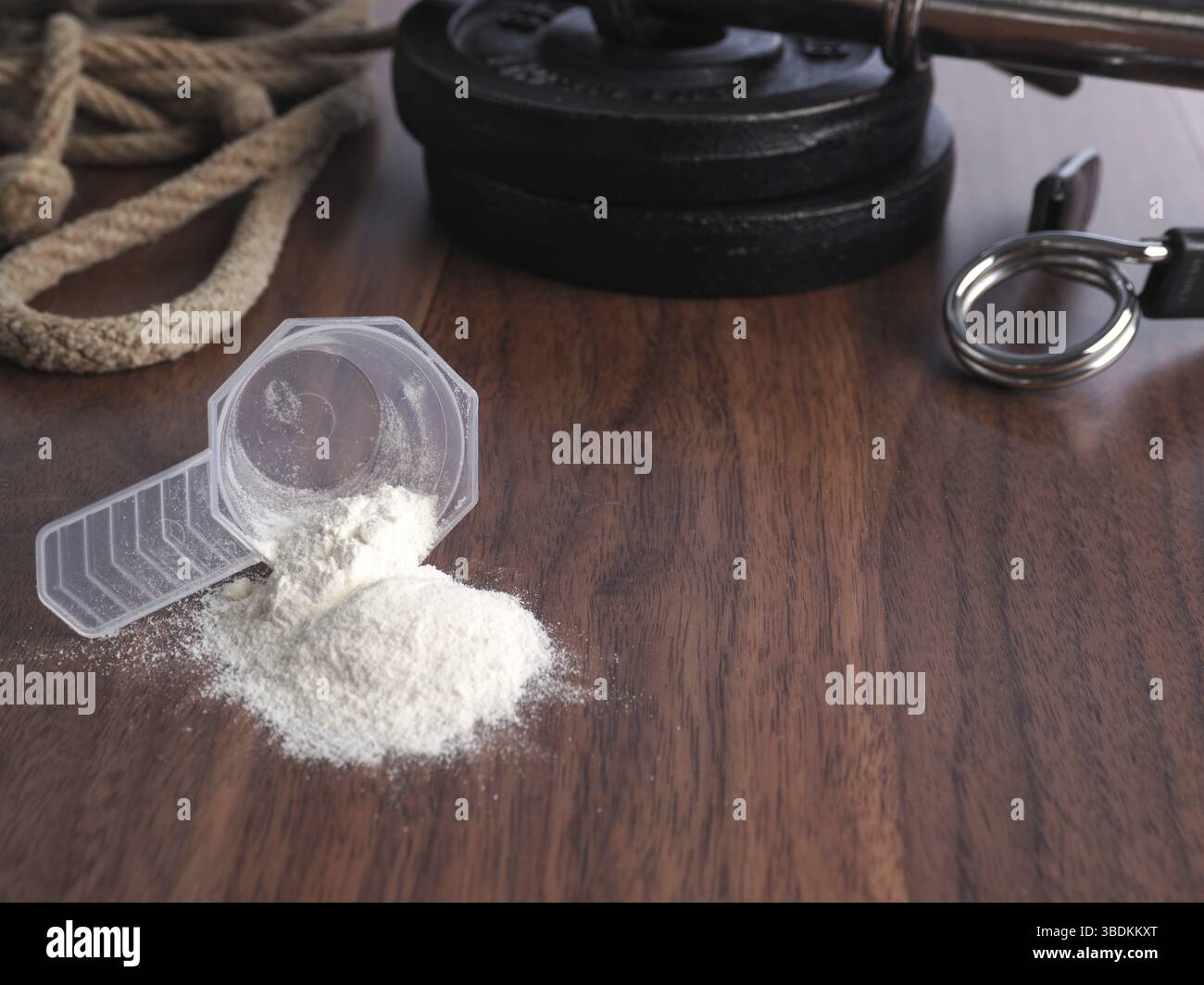 Misurino con polvere proteica davanti a piastre di peso e fune saltatrice, integratore nutrizionale e dieta sana, integrazione di vitamina Foto Stock