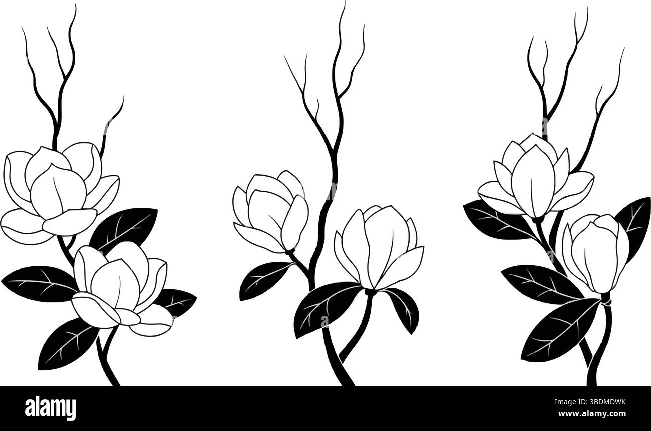 Eleganti rami di fiori bianchi e neri con delicati petali e ramoscelli sottili, disegnati in uno stile botanico vintage disegnato a mano Illustrazione Vettoriale