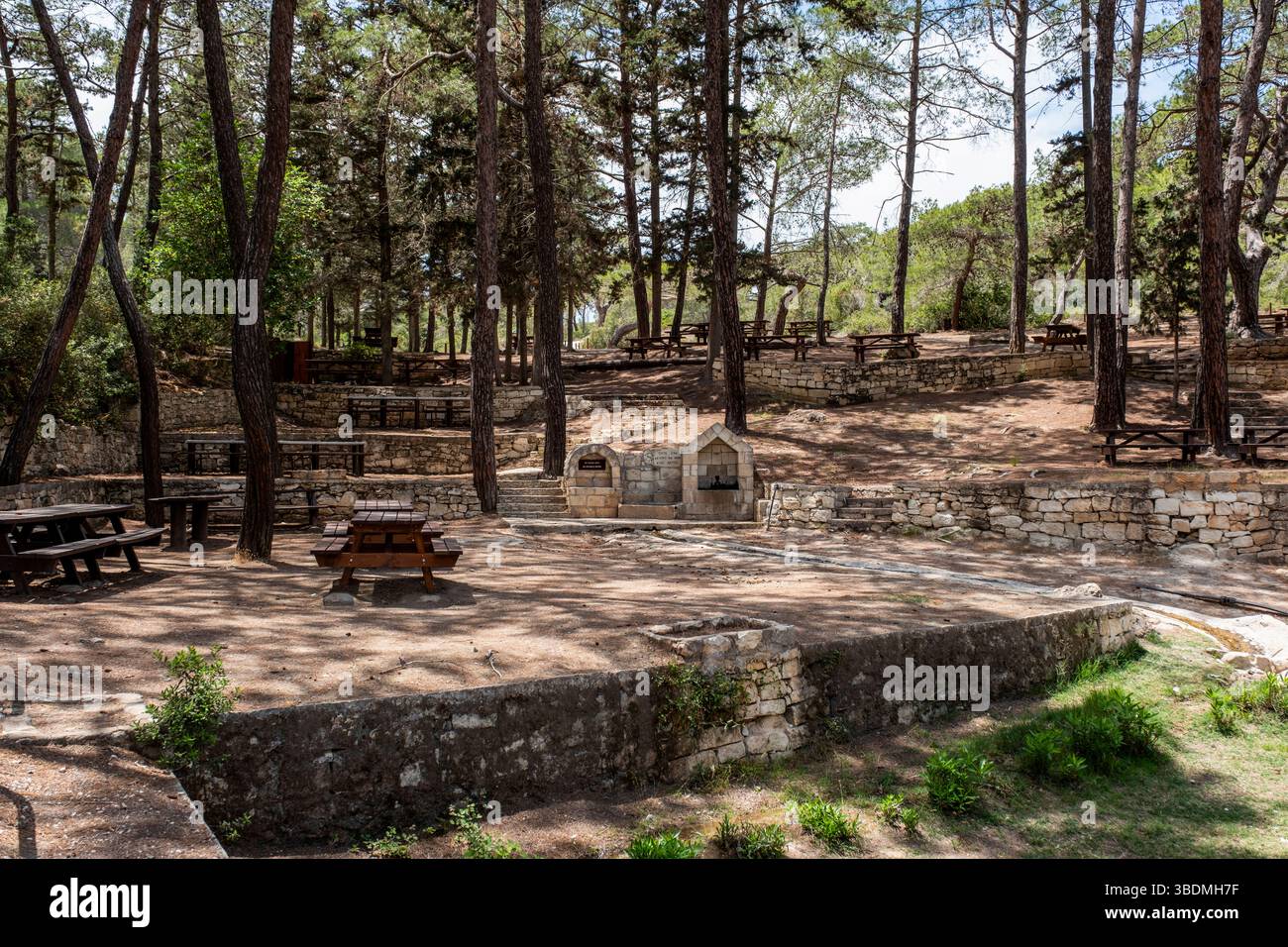 Smigies, (Smiyies), riserva naturale di Akamas, Repubblica di Cipro. Foto Stock