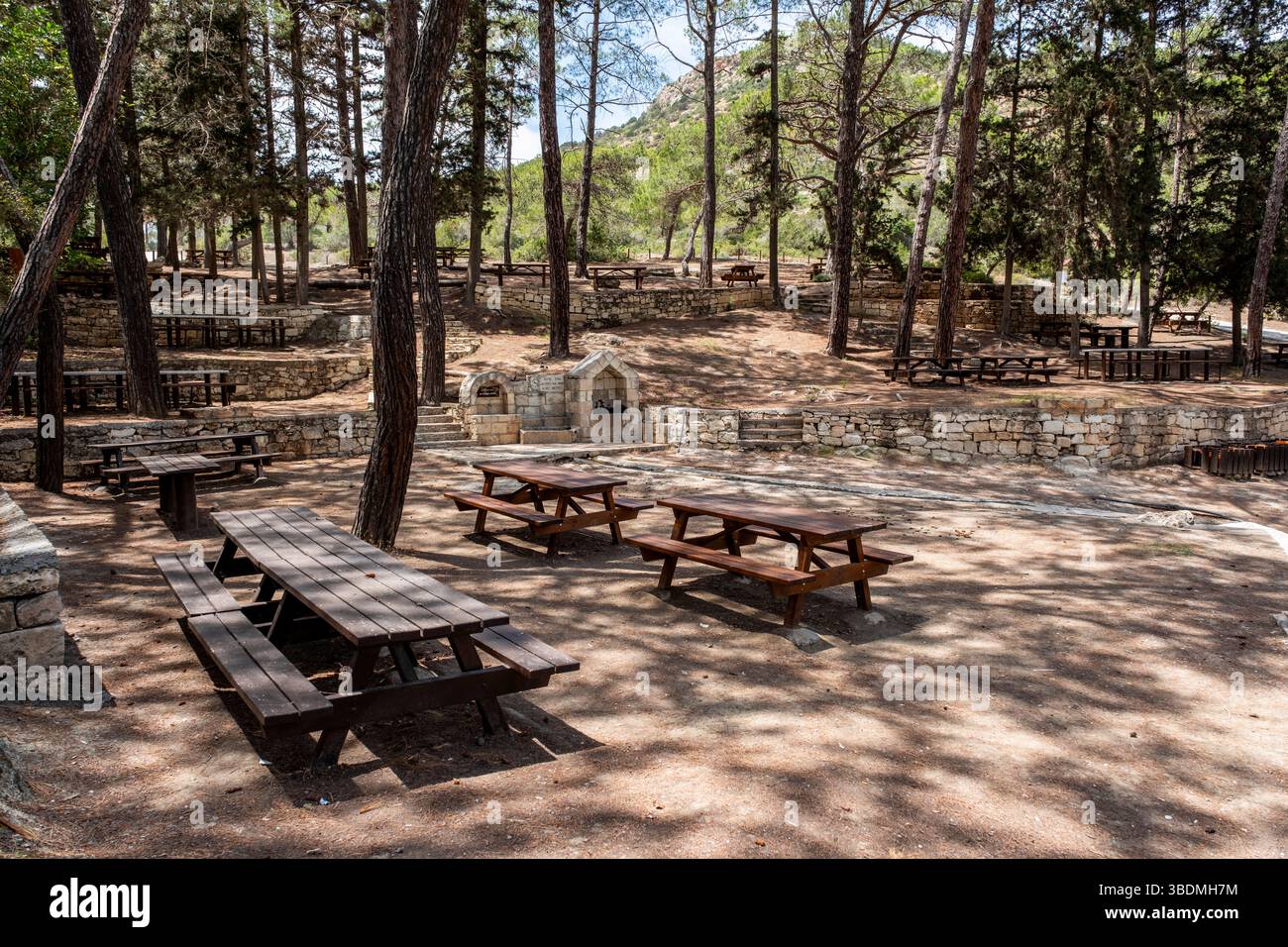Smigies, (Smiyies), riserva naturale di Akamas, Repubblica di Cipro. Foto Stock