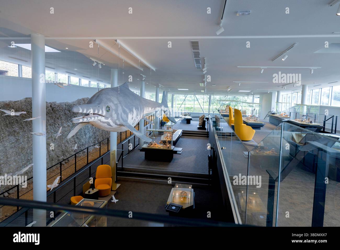 Una vista generale della galleria principale del museo francese più recentemente aperto, la Fossilea nella regione del Beaujolais, e la sua mascotte: L'ittiosauro. Foto Stock