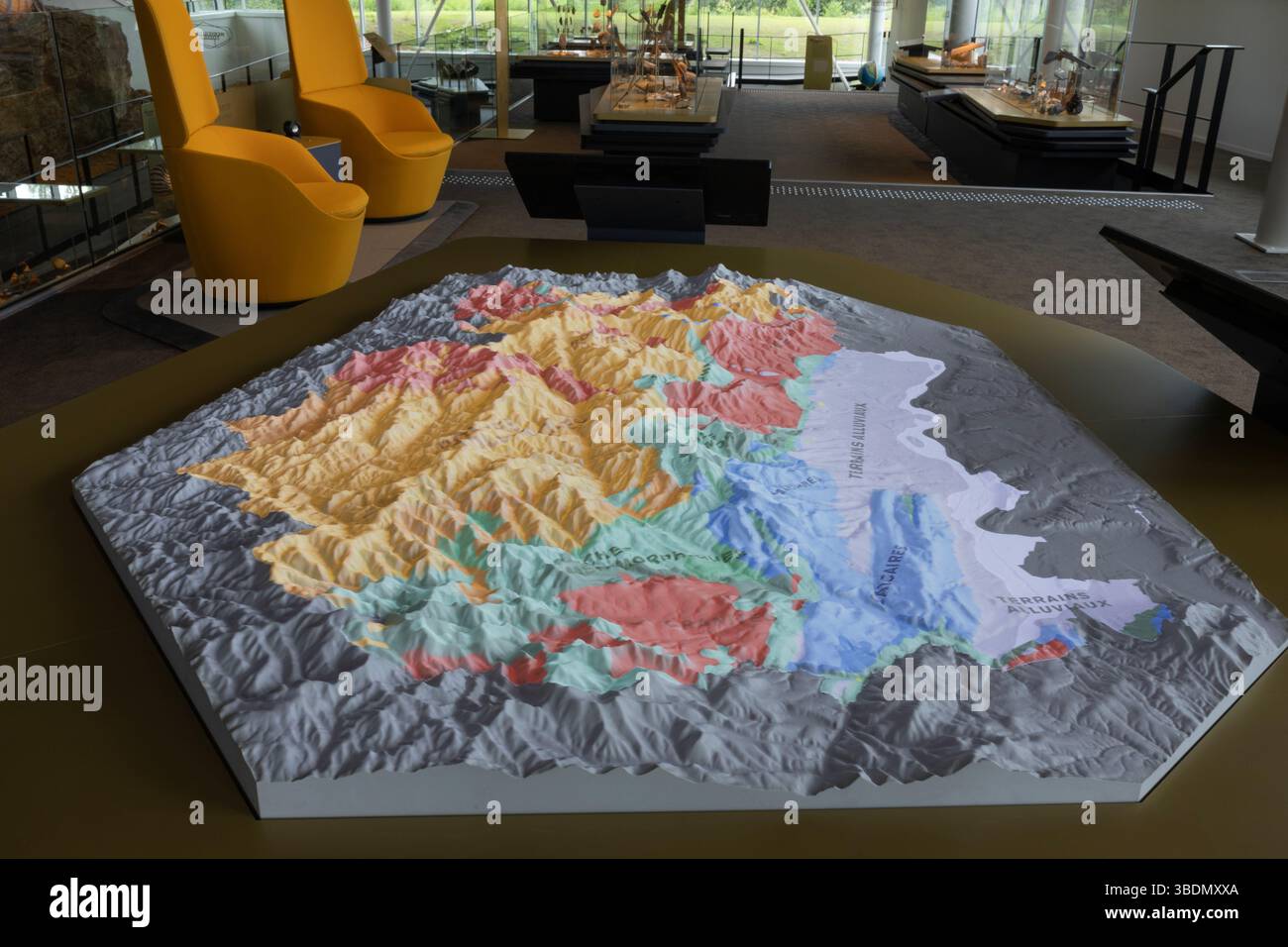 Una vista generale della galleria principale del più recente museo francese, il Fossilea nella regione del Beaujolais, con una mappa interattiva in primo piano. Foto Stock