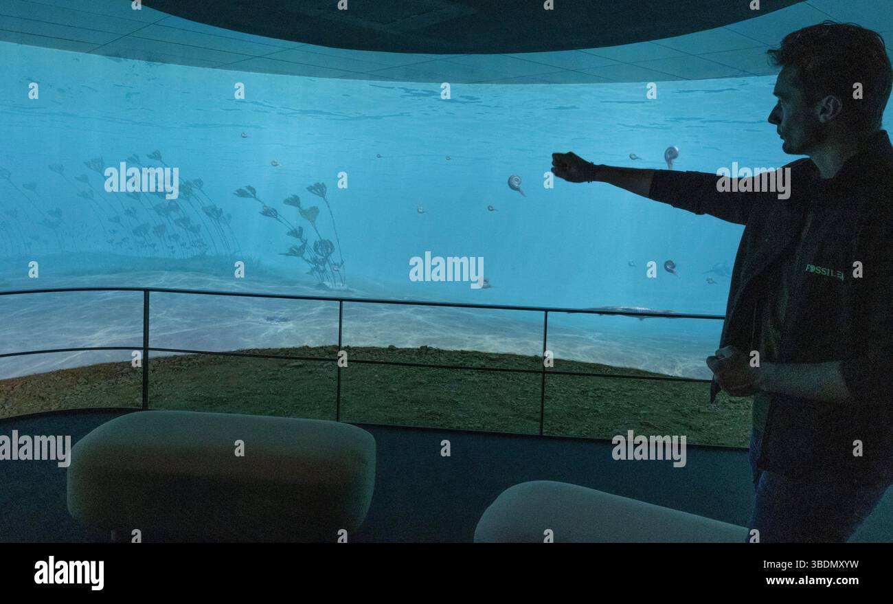 Una guida al più recente museo francese, il Fossilea, nella regione del Beaujolais, spiega come l'Oceano Tetide una volta copriva l'area. Foto Stock