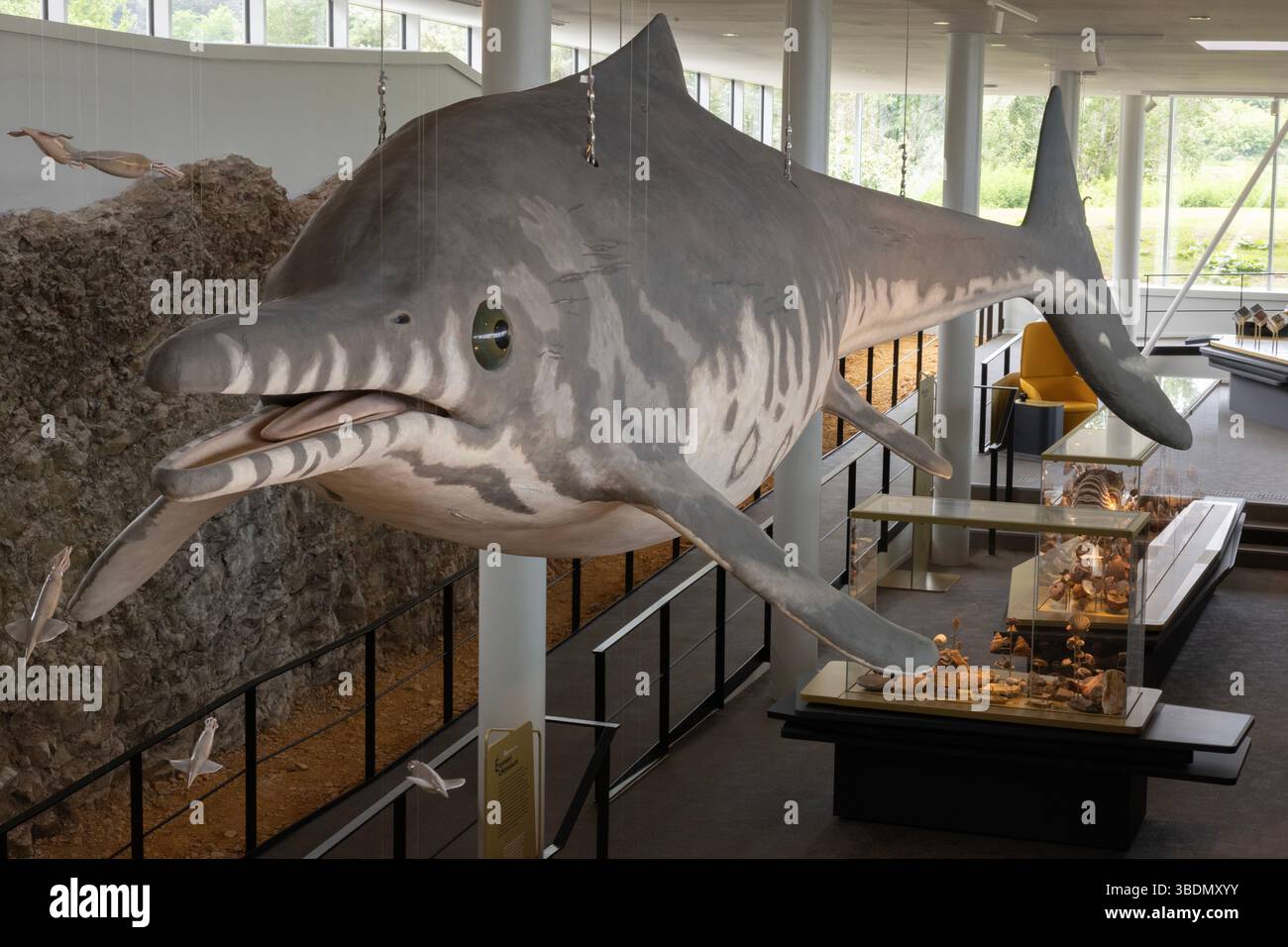 L'ittiosauro è la mascotte del museo francese più recentemente aperto, la Fossilea, nella regione del Beaujolais. Foto Stock