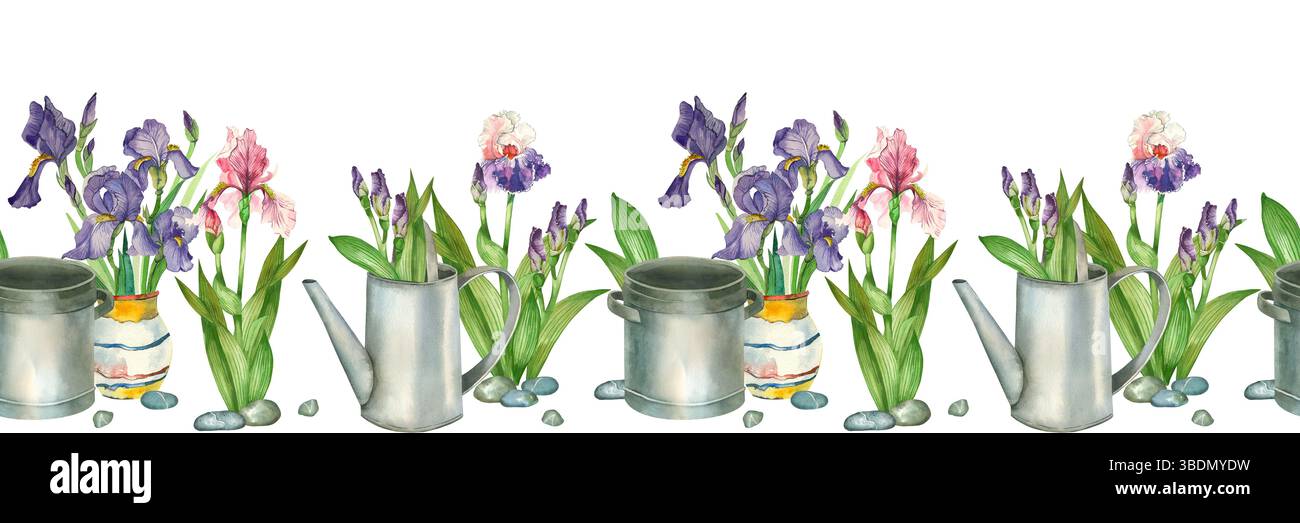 Bordo floreale ad acquerello senza cuciture. Fiori Iris rosa, viola, annaffiatoio, pentola, vaso con fiori, ciottoli, boccioli di fiori. Tutti gli oggetti sono mano Foto Stock