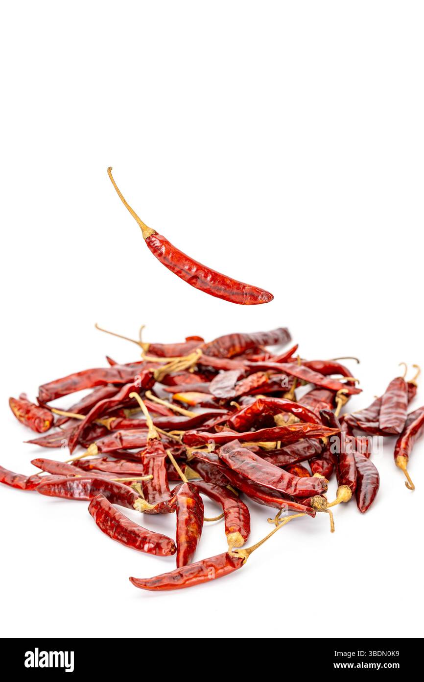 Un mucchio di peperoncini rossi secchi è sparso su sfondo bianco, con un peperoncino sospeso a mezz'aria, creando un aspetto dinamico e piccante Foto Stock