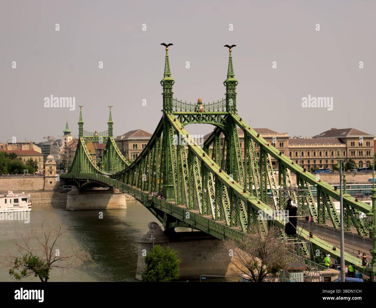 Vista laterale del Ponte della libertà di Budapest Foto Stock