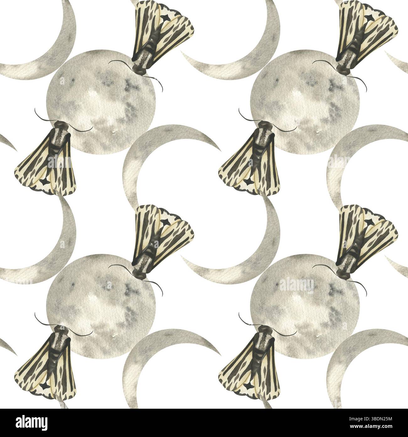 Motivo lunare esoterico senza cuciture con fasi lunari e illustrazione ad acquerello della farfalla della falena notturna. Insetto volante notturno disegnato a mano sulle stelle del cielo bac Foto Stock