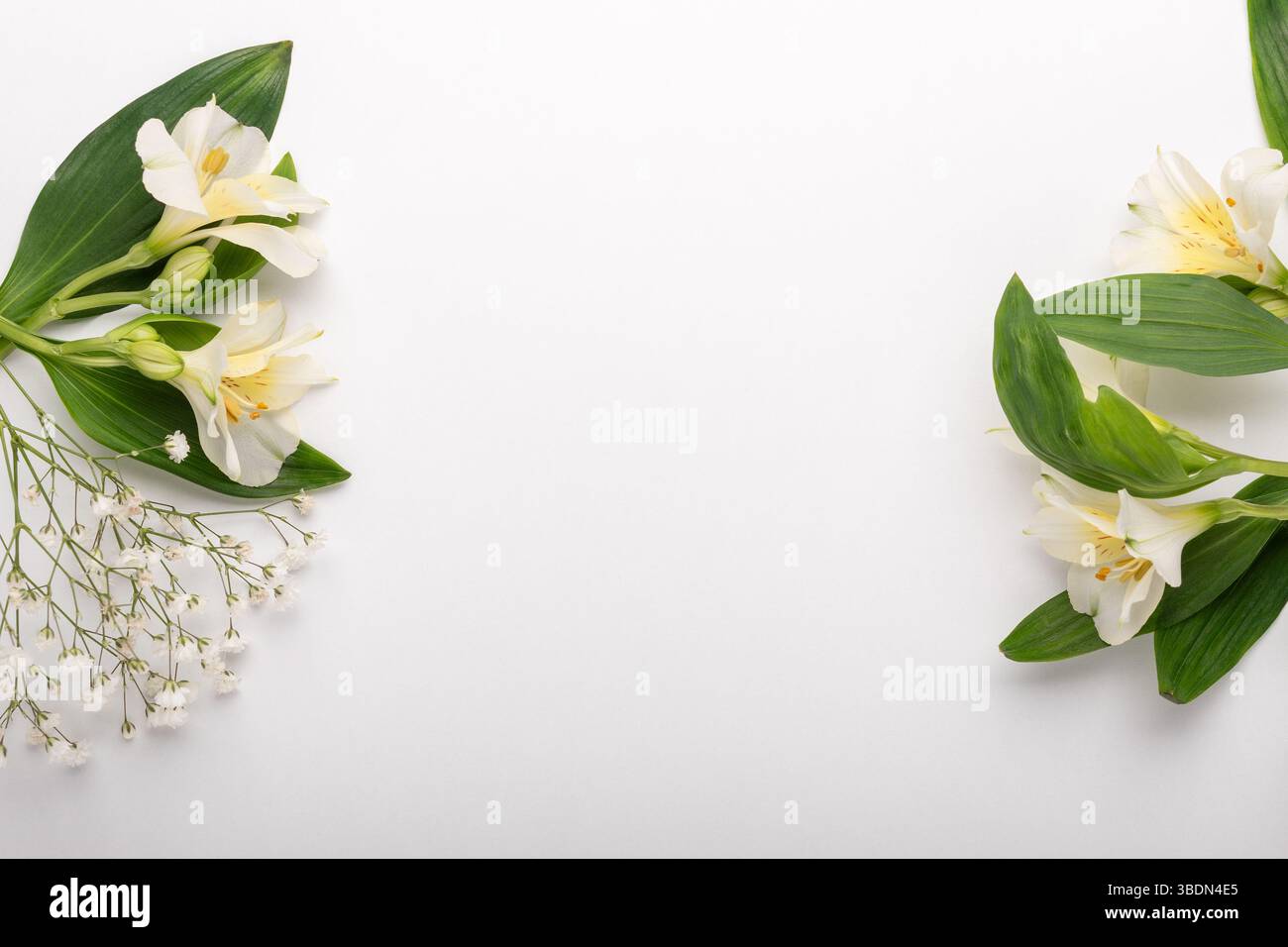 Sfondo primaverile con fiori. Concetto minimale. Foto Stock