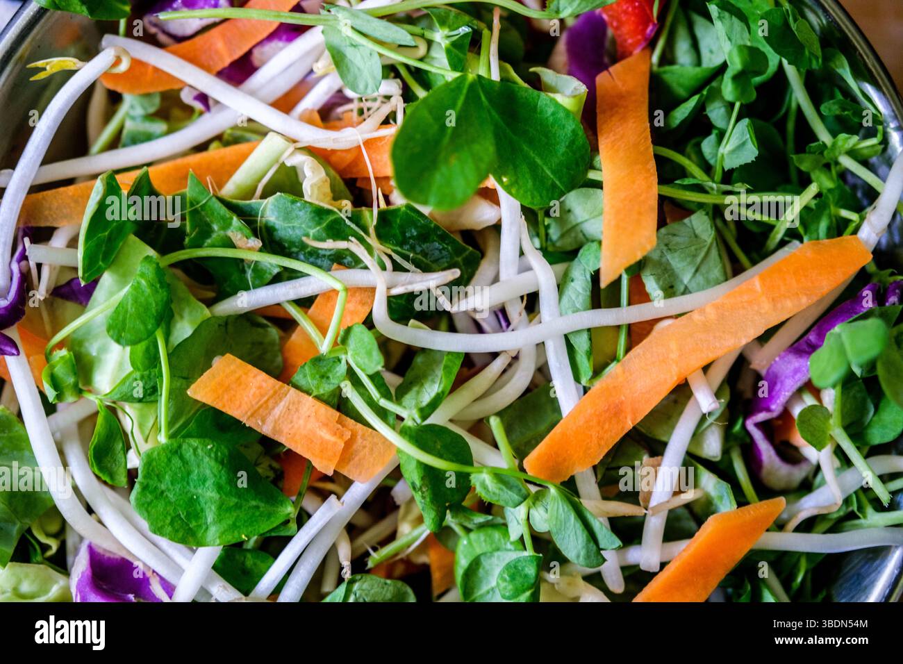 Londra regno unito, maggio 25 2025, Selezione di verdure fresche e salutari vegetariane agitazione ingredienti di cottura Foto Stock