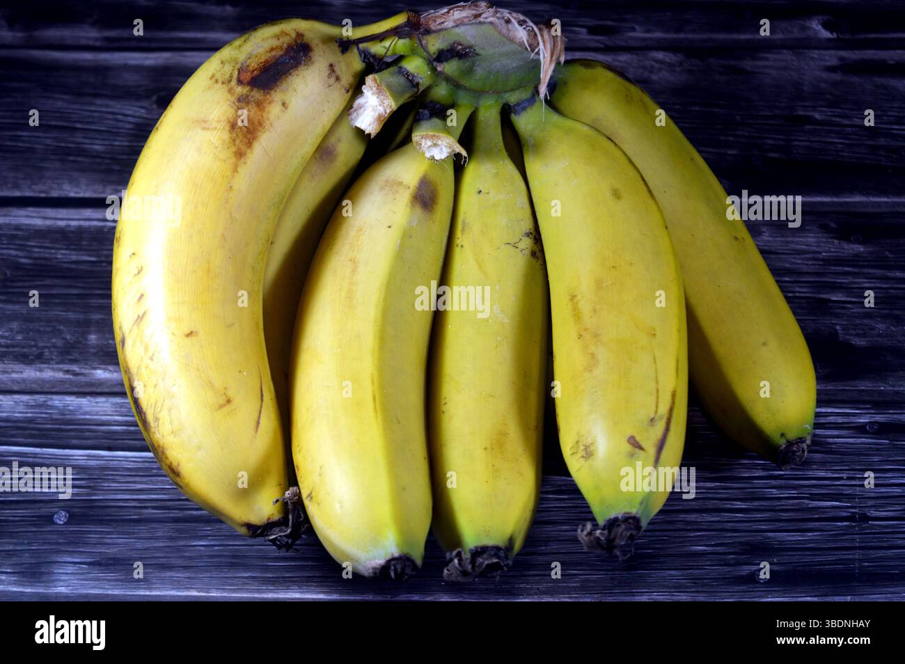 Banane, allungate, frutti commestibili botanicamente una bacca, prodotta da diversi tipi di grandi piante erbacee da fiore del genere Musa, la più grande h Foto Stock