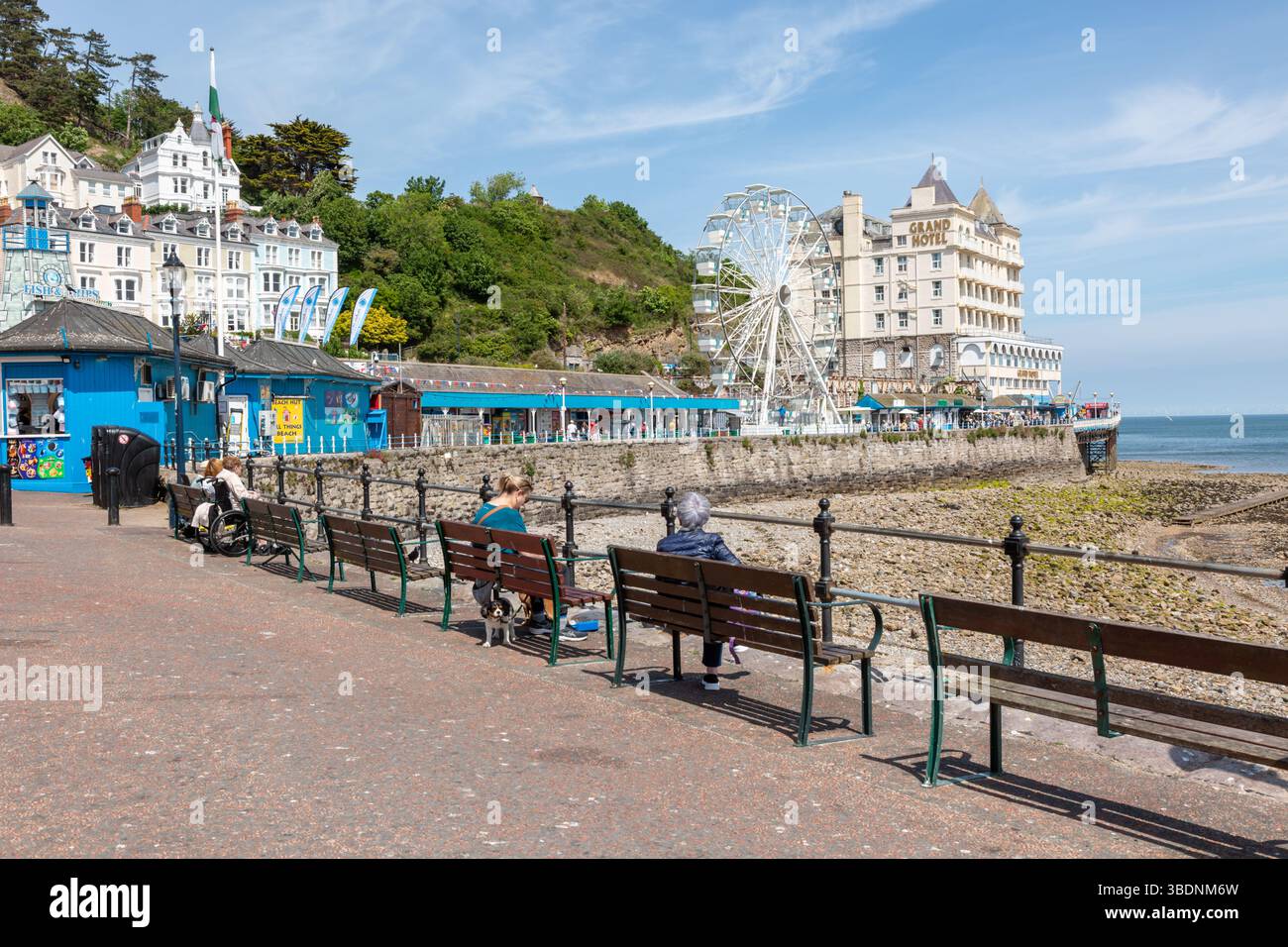 Persone sedute su panchine a Llandudno, Galles, regno unito. 2025 Foto Stock