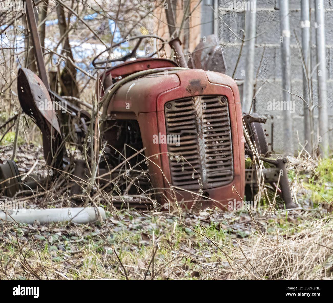 Cadavere trattore Foto Stock