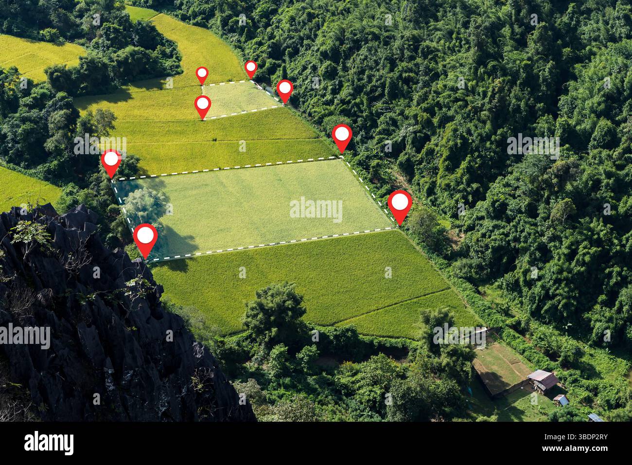 Foto aerea di risaie verdi divise con linee di confine tratteggiate e spille rosse, circondate da foresta tropicale e montagne in farmi rurali Foto Stock