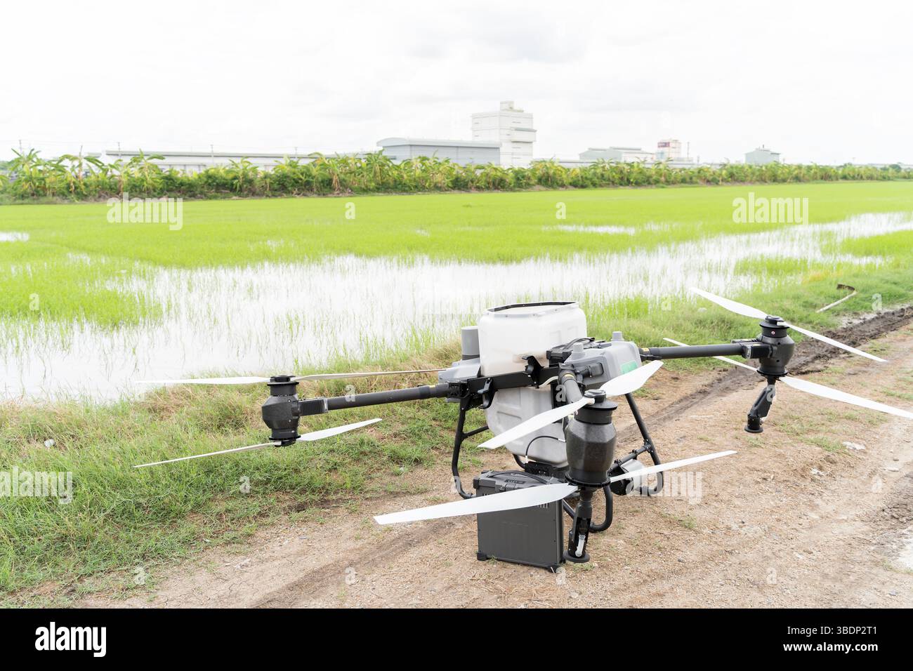 Drone agricolo ad alta tecnologia parcheggiato accanto a un rigoglioso campo di riso verde, preparato per irrorazione o mappatura aerea. Concetto di agricoltura intelligente, agric di precisione Foto Stock Drone agricolo ad alta tecnologia parcheggiato accanto a un rigoglioso campo di riso verde, preparato per irrorazione o mappatura aerea. Concetto di agricoltura intelligente, agric di precisione Foto Stock