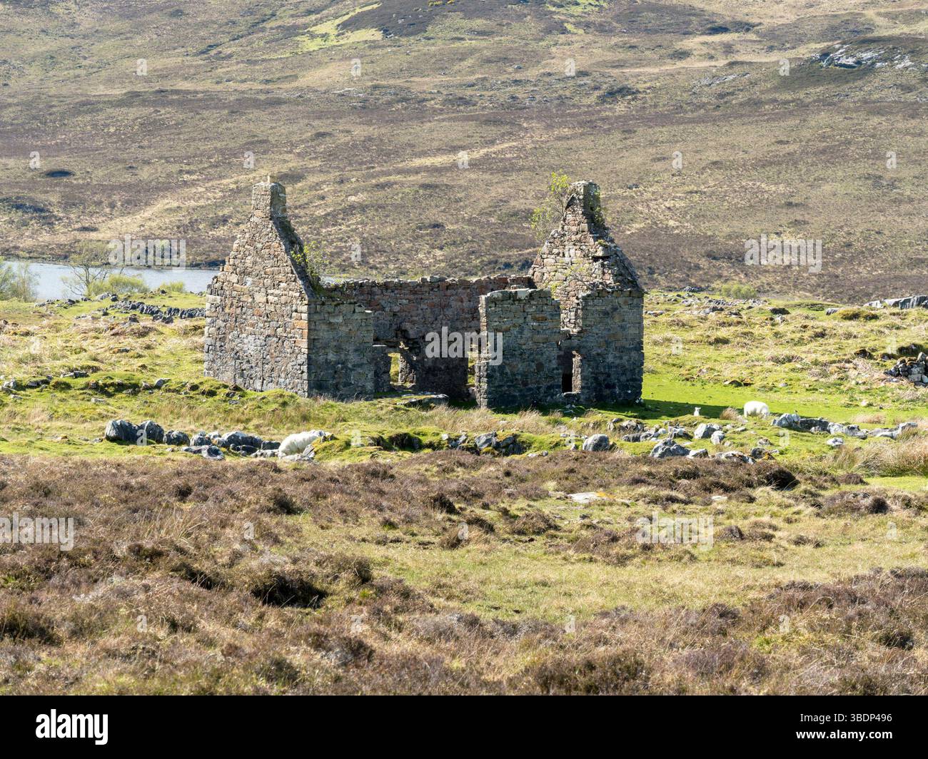 Vecchia casa in rovina, Kilchrist, Suardal, Isola di Skye, Scozia, REGNO UNITO Foto Stock