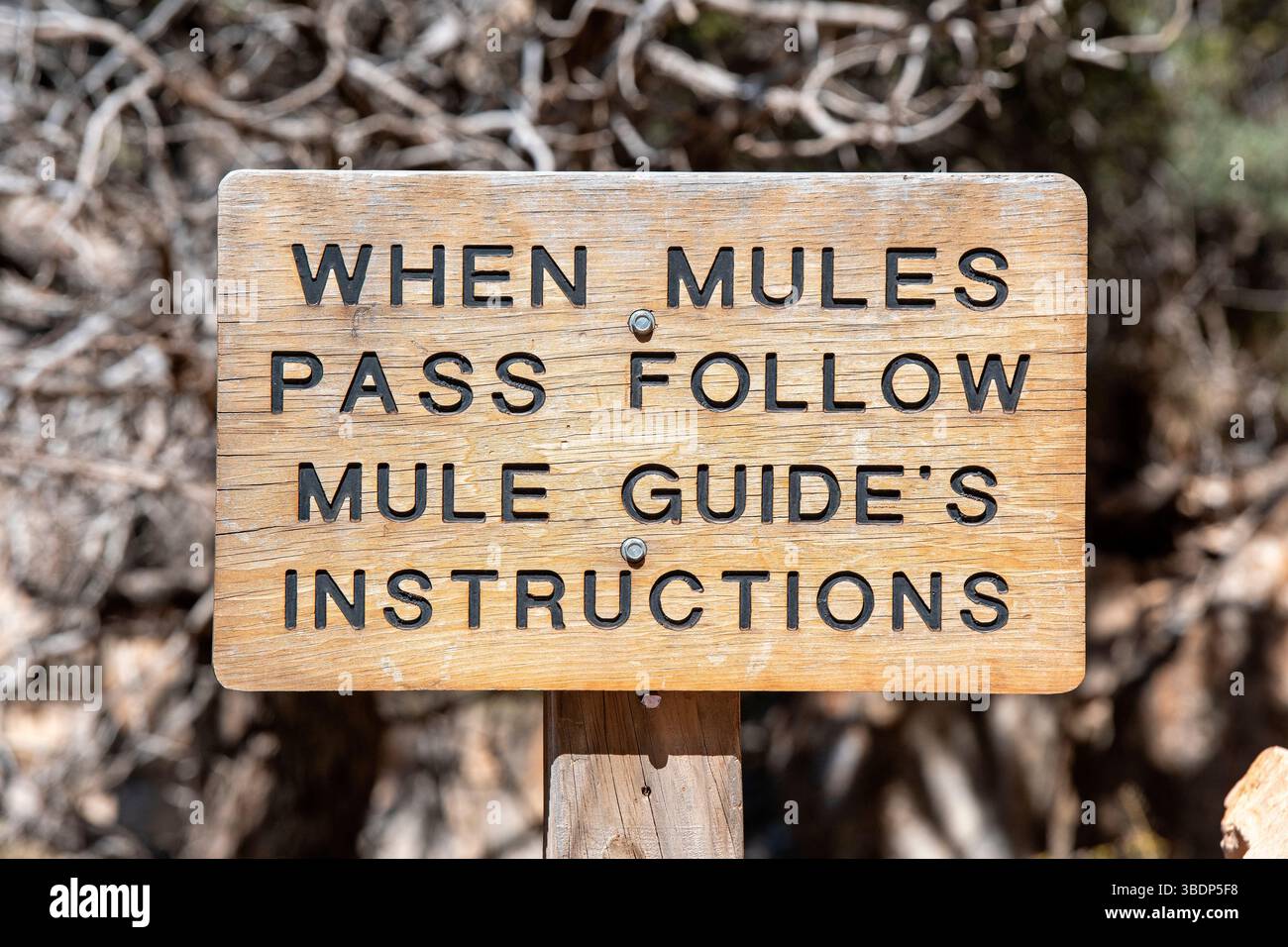 Cartello segnaletico per il trekking con muli lungo il Bright Angel Trail, il Grand Canyon National Park, South Rim, Arizona, Stati Uniti Foto Stock