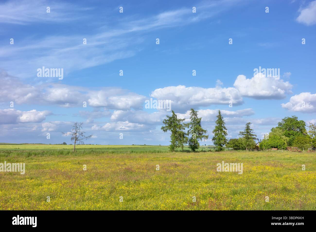 Il paesaggio rurale della Polonia occidentale. Foto Stock